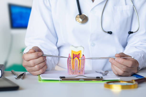 Best Emergency Dental Care for Broken or Chipped Teeth in Lacoochee, FL